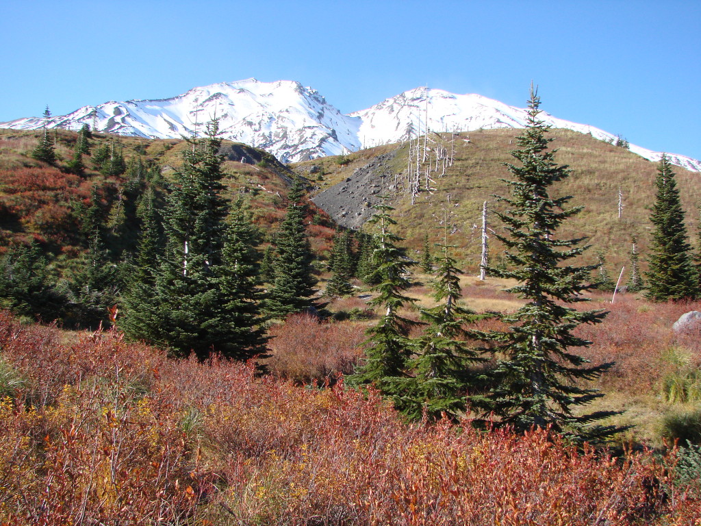 Fall colors on the Loowit Trail-Mt. Saint Helens National Monument in Washington