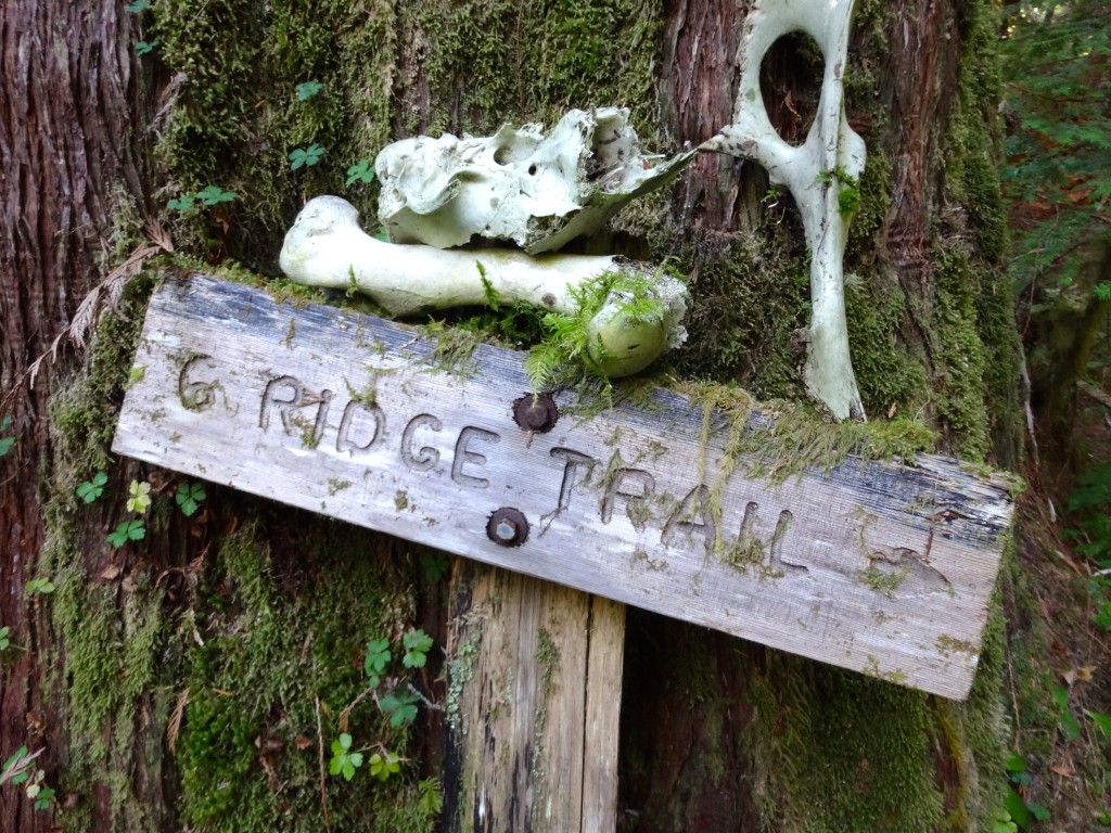Cryptic sign for Six Ridge