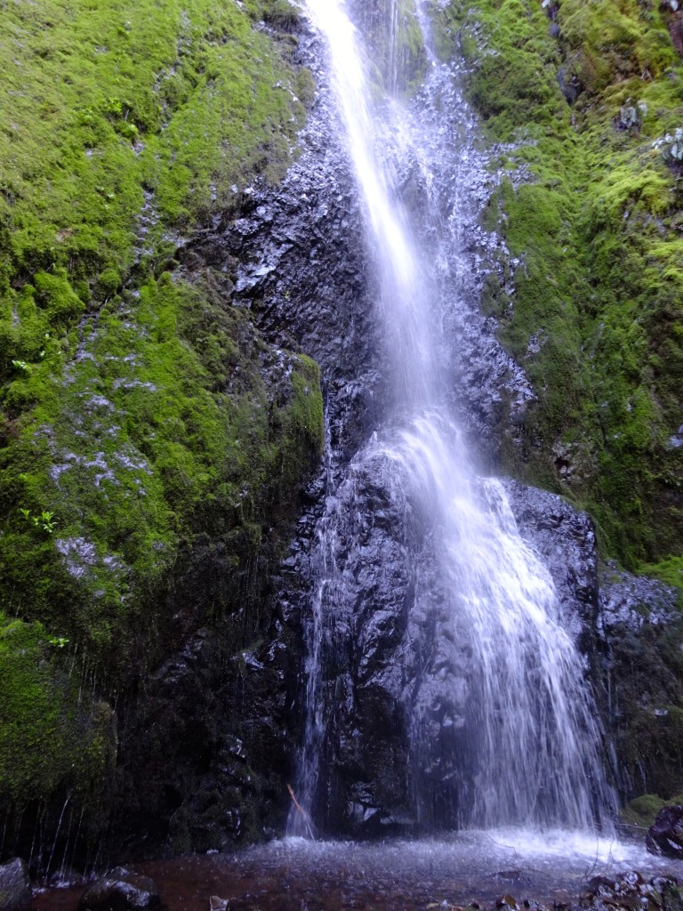 Waterfall on Herman Creek Trail