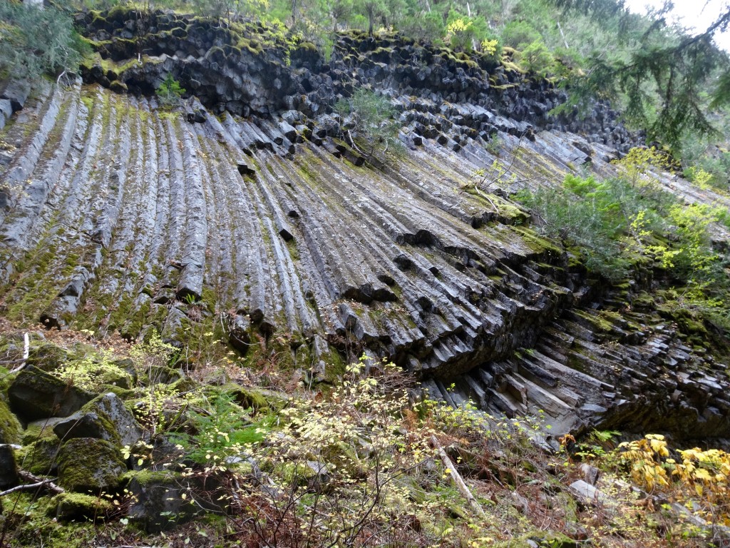 Columnar basalt on the South Puyallup Trail