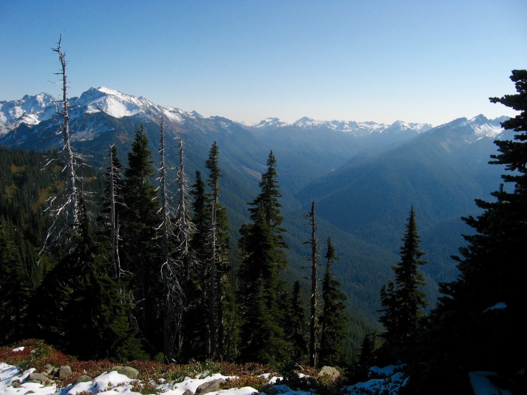 The Olympic Mountains from the High Divide