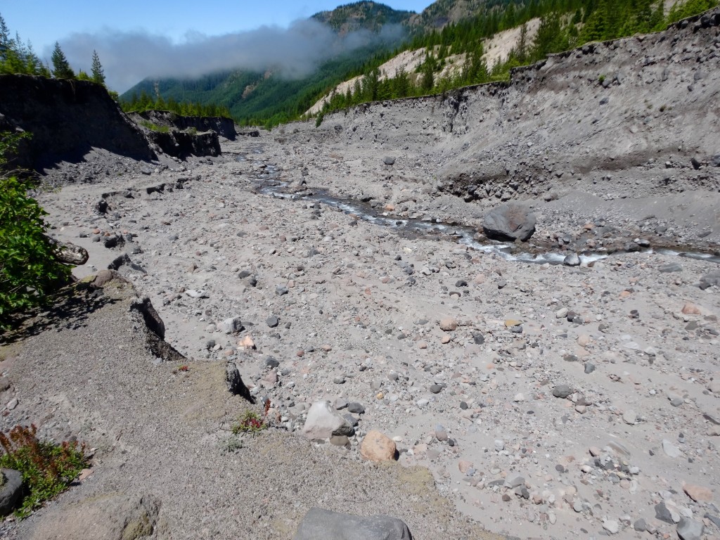 A shattered landscape at the Toutle
