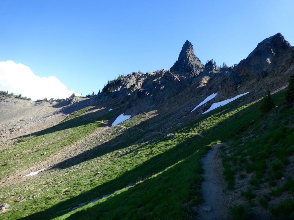 The flower meadows open up above White Pass on the Crest
