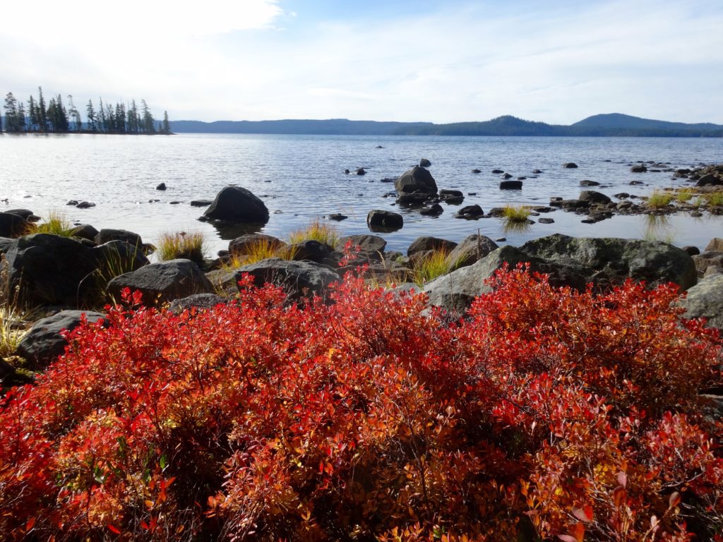 Fall colors brighten my way on the west shore