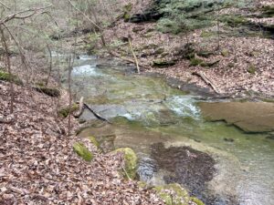 Mossy Dry Creek